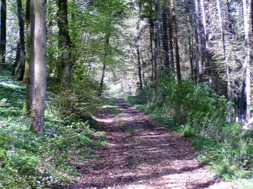 Apartmán Landferien Eifel Pittenbach Exteriér fotografie