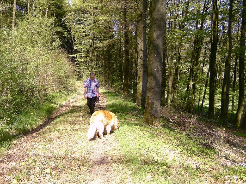 Apartmán Landferien Eifel Pittenbach Exteriér fotografie