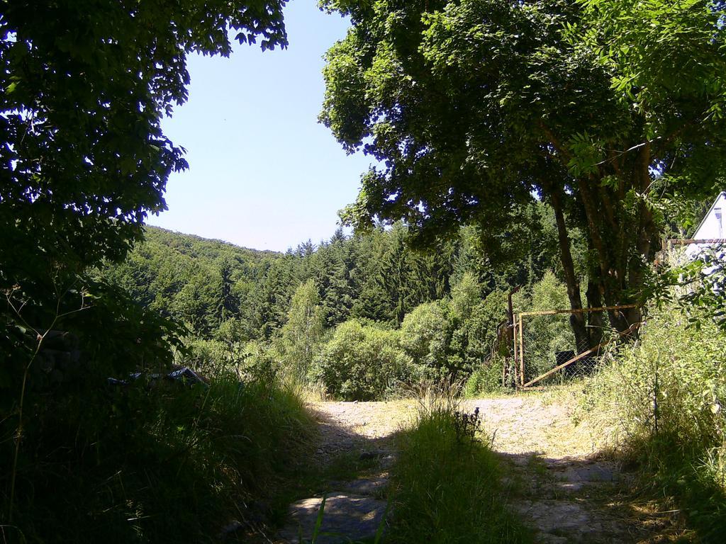 Apartmán Landferien Eifel Pittenbach Exteriér fotografie